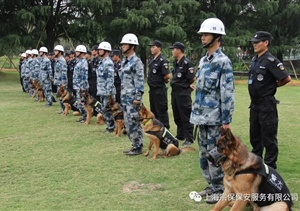 江蘇宿遷警方推“共享保安”模式，可防性案件下降21%